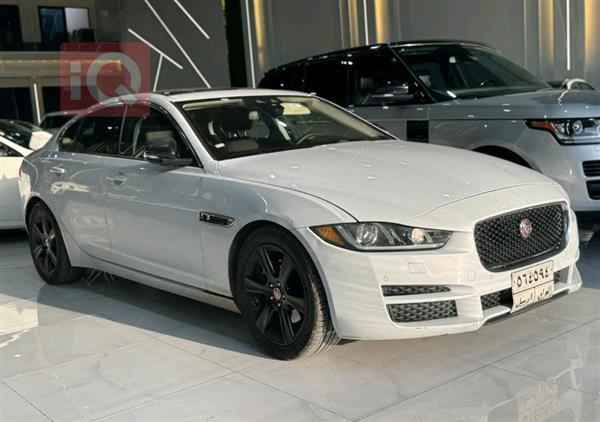 Jaguar for sale in Iraq